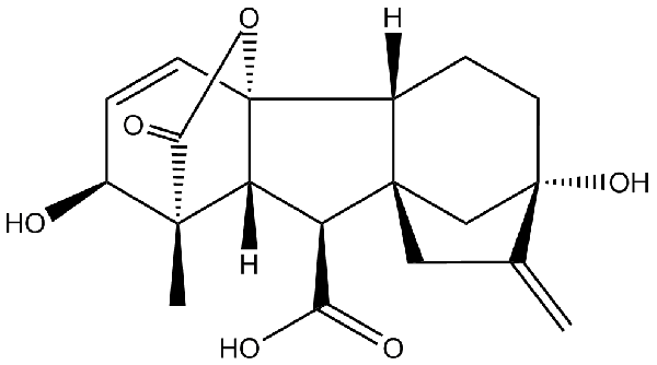赤霉素GIBBERELLIC ACID，居然有這么神奇？